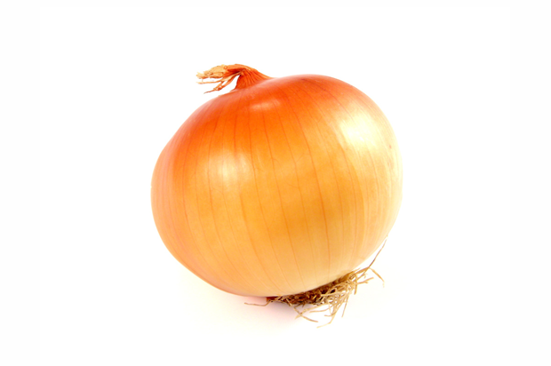 onion.png