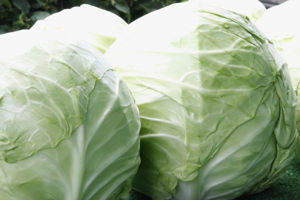 Cabbage | Meal and a Spiel