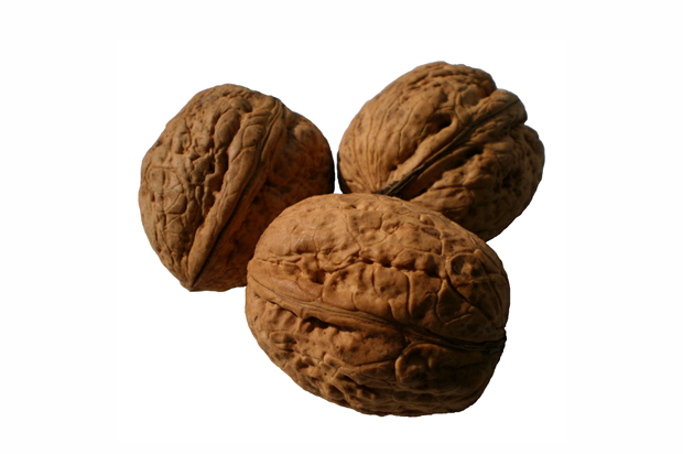 Walnuts | Meal and a Spiel